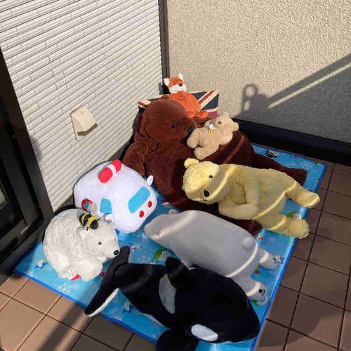 みんなで ほされてる☀️
あったかいね