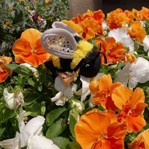 🐝〜