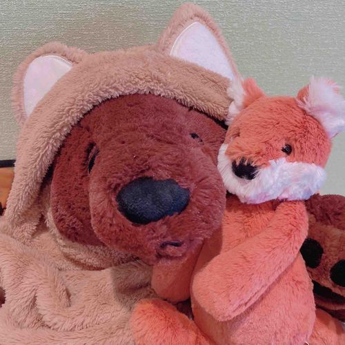 🧸さいきん さむくなってきた から あったかくしようね

🦊ベオさんがキツネになっちゃったぞ！