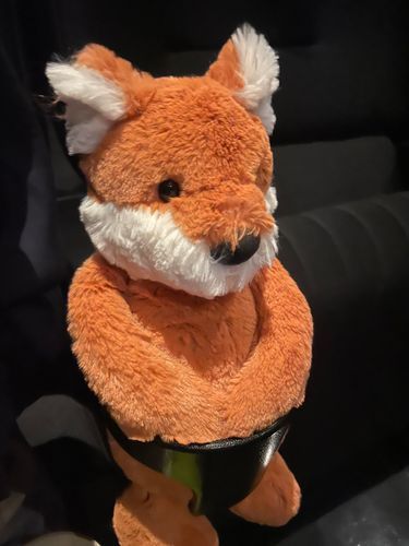 キツネのフィンクだ🦊
きょうも ごしゅじんに つれられて
えいがをみにきたぞ
（ごしゅじんは ほんとうに この ひげのひと が すきだなぁ）