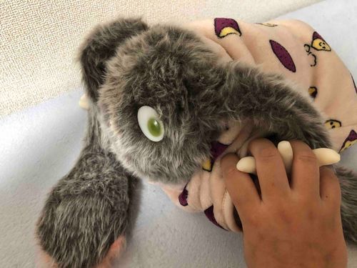 サツマイモの秋冬服買いました
もこもこふわふわ
可愛いね、リリーちゃん