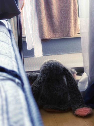 お天気よくて
お洗濯物の匂いが良い匂い
リリーちゃんもお外に出たくてソワソワ

スーパーに一緒に行こうね