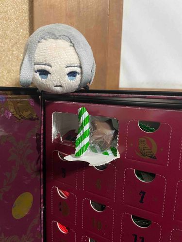 もーちぃ