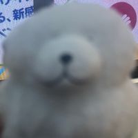 むちな