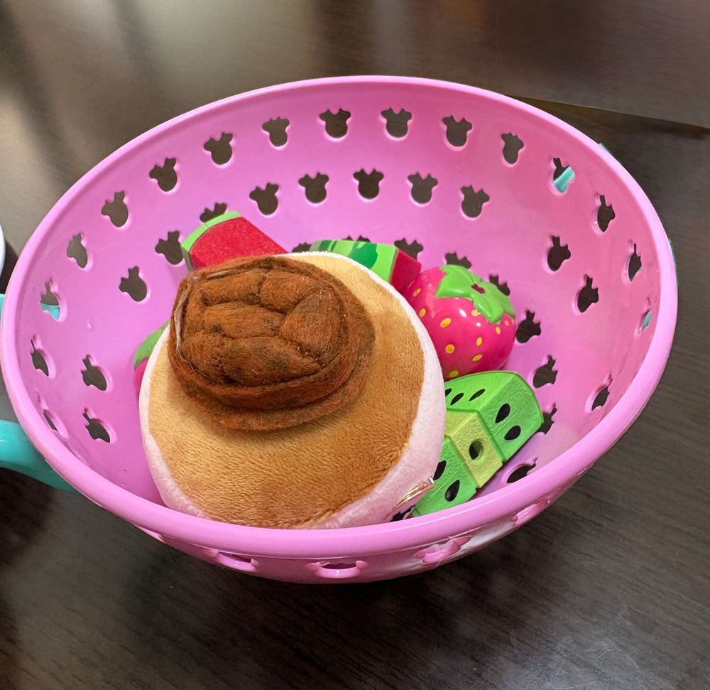 もっふみもおままごとに参加。
お客さん役かと思ったらまさかの食材役で困惑しかない。
逃げなければ！！