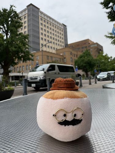 雨が降る前に少しお散歩と思ったら

雨がぽつり！

もっふみはスコーンだから濡れたら大変！！急げ！逃げ込めれ！
