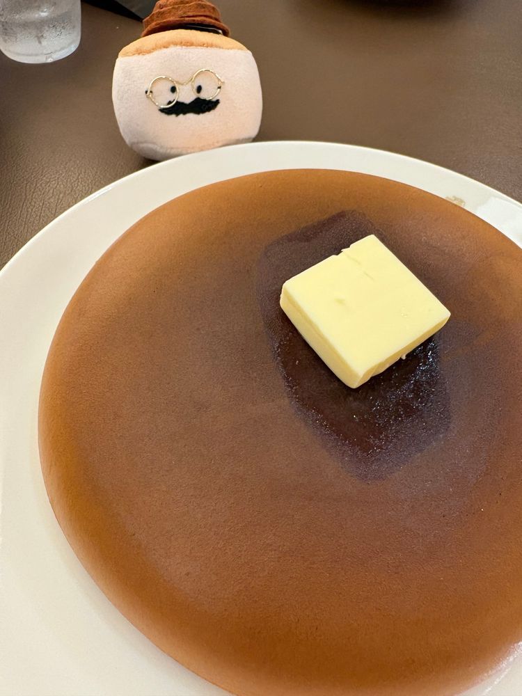今日の夕飯は珍しくホットケーキ。しっかしここのホットケーキはもっふみのベッドにしたくなるくらいふっわふわでほっふみもご満悦。
ドライケーキも食べて粉分を摂取！