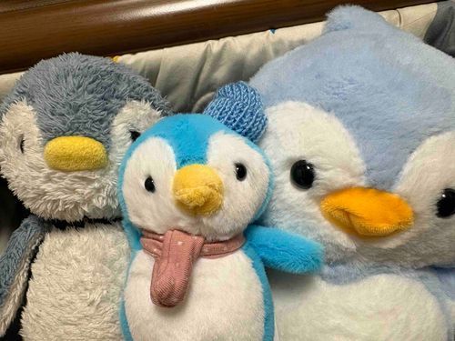 🐧🐧🐧