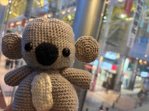 🧶🐨
