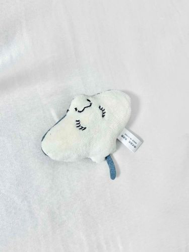えい
海遊館からやってきた小さいエイ。左右でヒレの大きさが違うけど、本人はあまり気にしてないみたい。