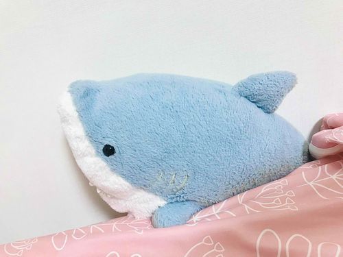 しゃちべえ
名前はシャチだけど実はサメ。ベッドの隙間が好きでいつも抜けなくなっては助けてもらっている。