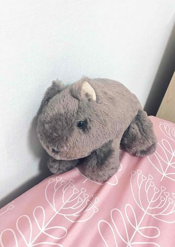 ごんざぶろう
オーストラリアの動物園からやってきたウォンバット。本名は「ウォーリー・ゴッド・権三郎」