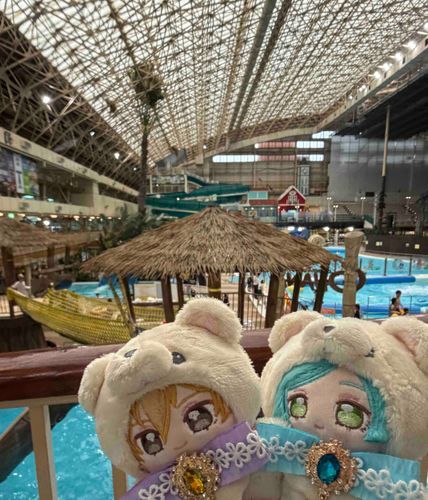 おおきな『ぷーる』にきています〜🌴🌺