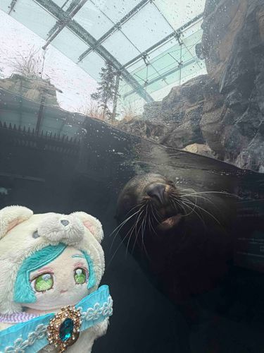 とどさんときねんしゃしん📸