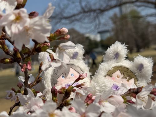 先週のお花見🌸その②
たぴぬいちゃんたちは妖精さんみたいで可愛い😊
