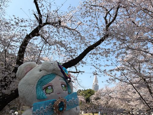 おはなみ🌸その③
ばしょは、しんじゅくぎょえんでした〜😊