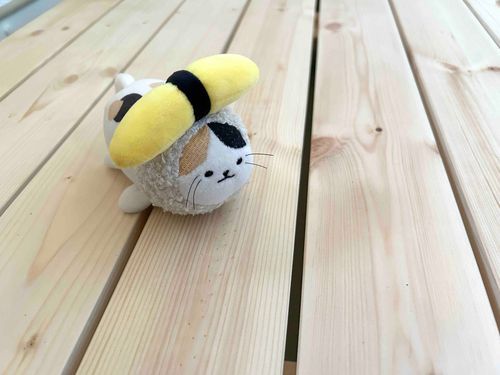 おはにゃ〜今週もがんばるのにゃ〜
たまはこれからとある場所へ向かうのにゃ…きんちょーするのにゃ〜🐱💦