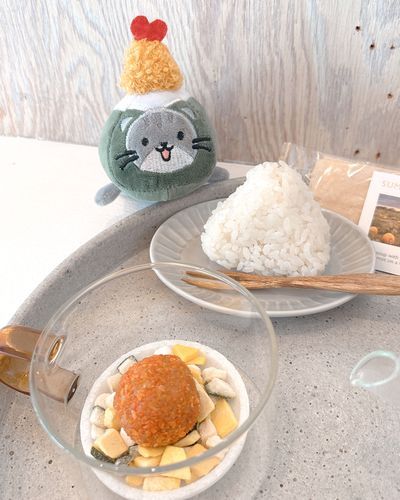 みんにゃ〜ちょこっとお久しぶりなのにゃ〜🐱
おれのともだち見つけたから見て欲しいのにゃ🍙
