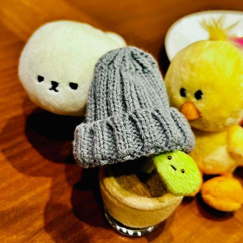 🐥ぴしょちゃん っていうんだって〜
🌱かわいい帽子貸してくれた！