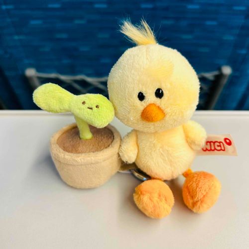 🐥しゅっぱ〜つ！
🌱どこ行くんだろ…
