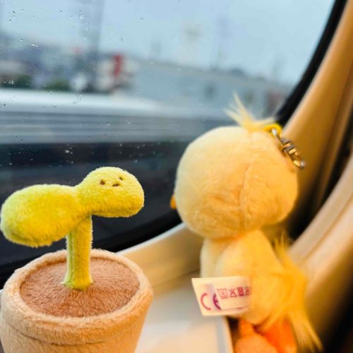 🐥……………
🌱ずっと外みてる…