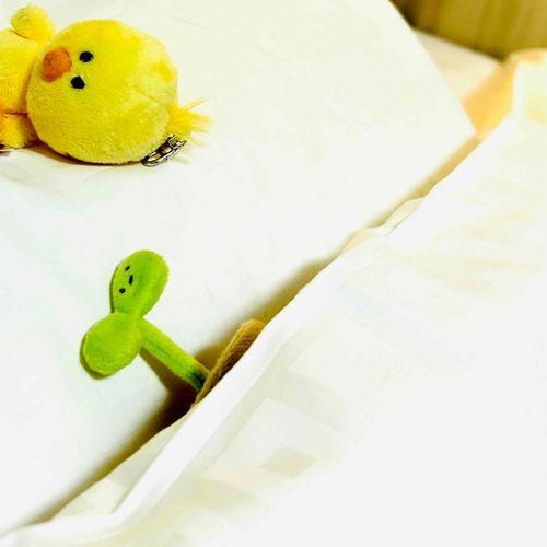 🐥？！
🌱ほらね、おはよう〜