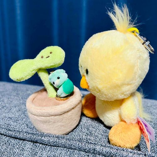 🌱うわぁっ？！
🐥なに？！だれ！？！
🥒ｷｭ~