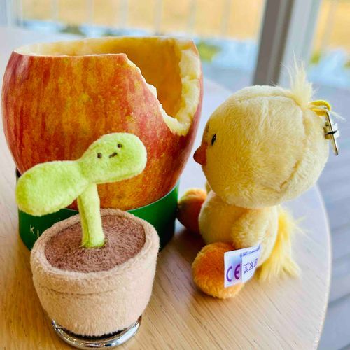 🐥サクサクサク……
🌱食べれるんだ？！