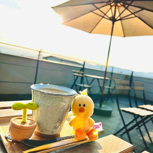 🐥テラスが気持ちいい天気！
🌱もう暑いよ〜〜〜