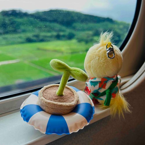 🐥海…ない…
🌱ないねえ……
