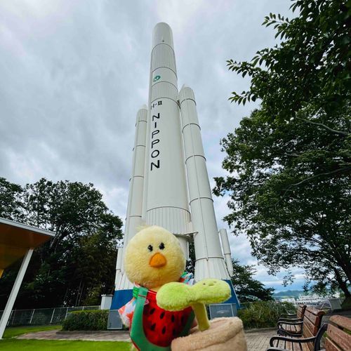 🐥ロケットには…もしかして……
🌱乗らないよ！乗りたいけど！