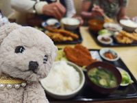 さいしょうの家のてんちょう