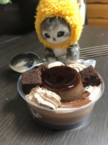 チョコプリンも食べちゃうもんねー