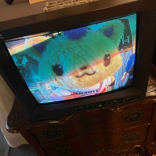 テレビにうつるしおにん、どやっててかわいいね📺