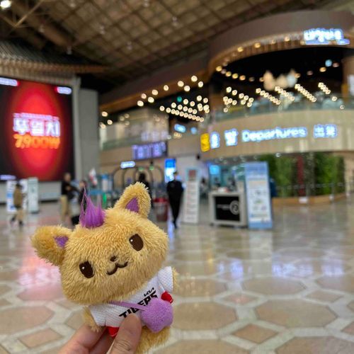 よい旅でしたね、しおにん☀️