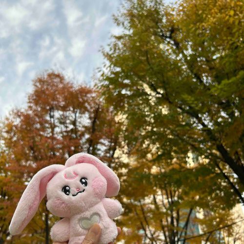 きゅぴんのおにいちゃんに会いに行った先で見つけた秋🍂