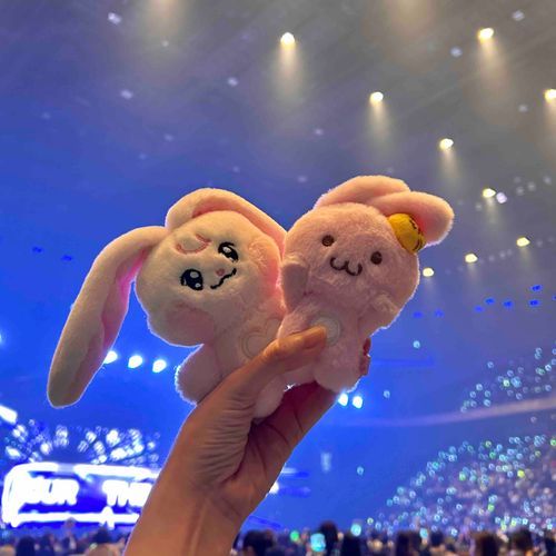 ぴんきときゅぴんのおにいさんたちに会えた日🩷長い間かわいくてかっこいいアイドルでいてくれてありがとうだね