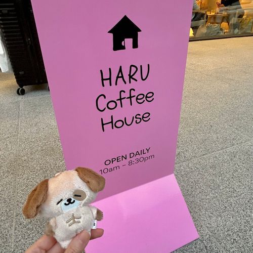 どんへいのおにいさんのおにいさんのカフェに行った思い出💭🩷