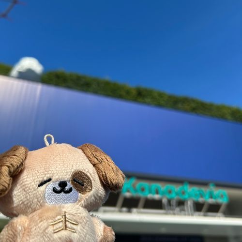 どんへいのおにいさんを応援しに行ったよ！青い海が似合うおにいさんのこと大好きでいられて幸せだと思いました💙