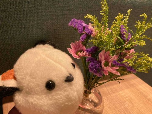 花を愛でるしまえ