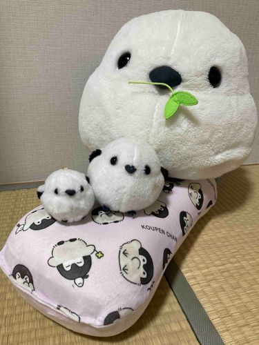 ふくふくシマエナガファミリー
小　ガラナ
中　しまえ
大　たいちゃん

みんなよろしくね