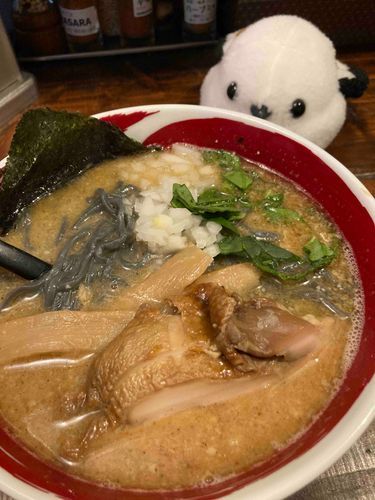 ラーメンをみつめるしまえ