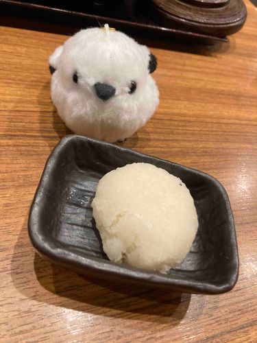 大根おろしをみつめるガラナ