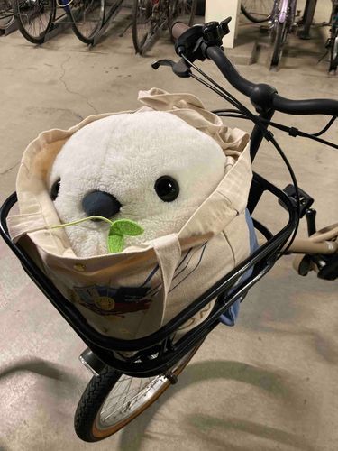自転車にも初めて乗ったたいちゃん