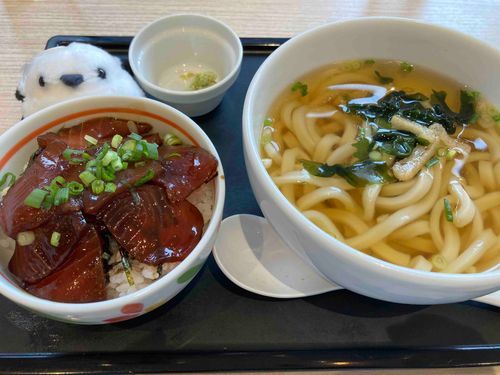 まぐろ丼とうどんを堪能するガラナ