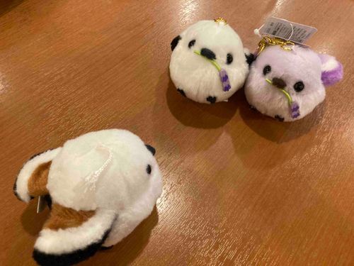 OJT中のガラナ