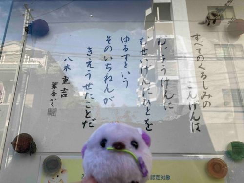 教会の掲示板に貼ってあったおことばとむらさき