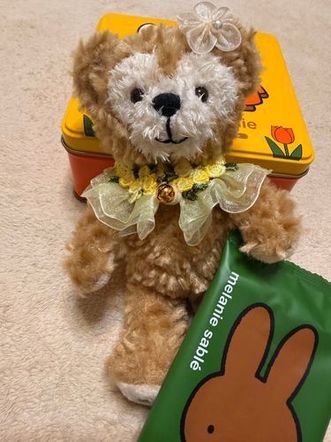 今日のティータイムはメラニーちゃんのクッキー🍪