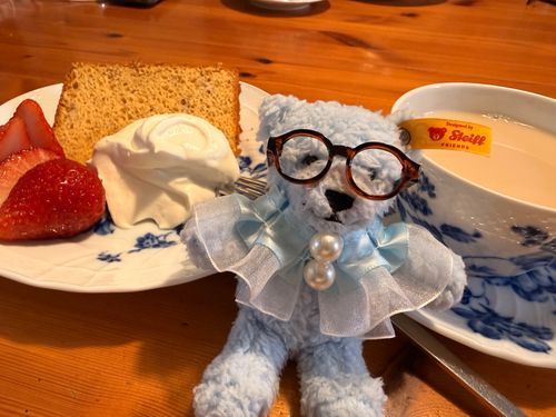食後のティータイム🫖
シフォンケーキだよー