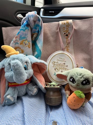 これからディズニーランドへ🩷🏰
ダンボちゃんとグローグー達と一緒に出発‼️